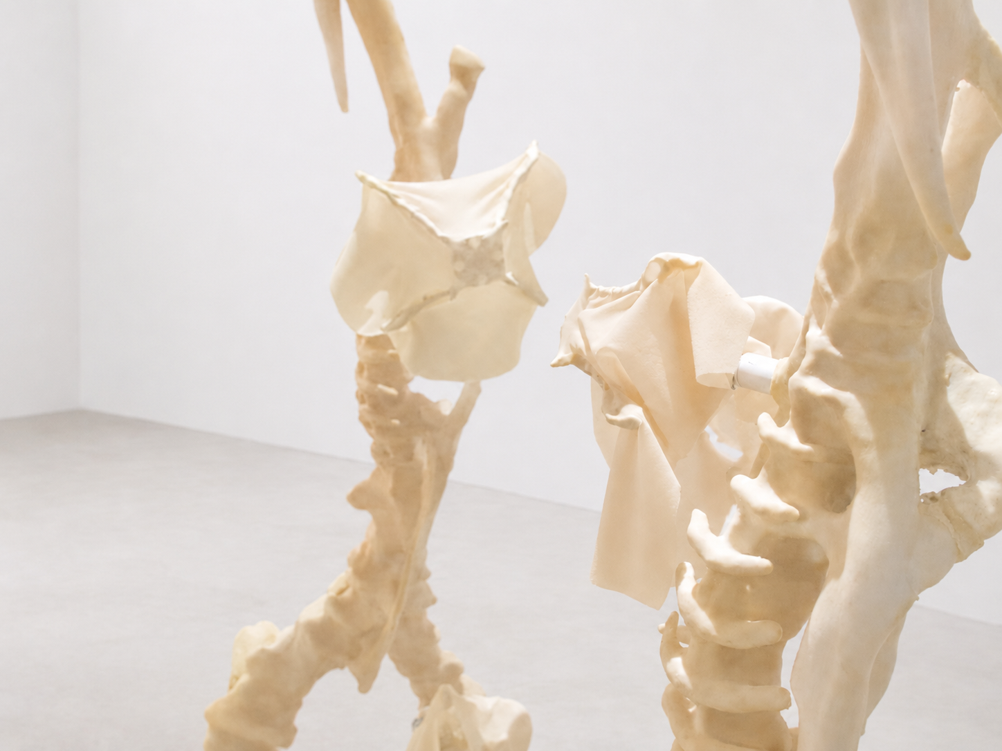 Near Contact exhibition featuring Julia Kim