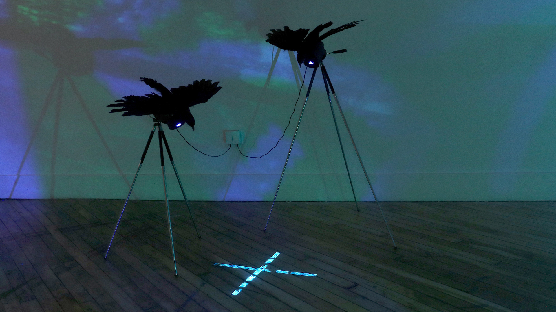 Near Contact exhibition featuring Phoebe Todd